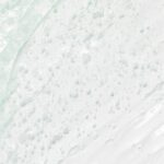 Beauty of Joseon Green Plum Refreshing Cleanser 100ml - Image 4