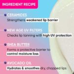 Dot & Key Barrier Repair Hydrating Tinted Lip Balm SPF 50  PA+++ - Blueberry Bliss 4.5g - Image 6