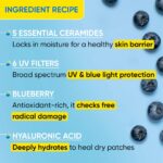 Dot & Key Blueberry Hydrate Barrier Repair Sunscreen SPF 50+ PA++++ (80gm) - Image 3