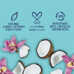 St. Ives Coconut Water & Orchid Hydrating Body Wash 650ml - Image 3