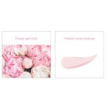 DABO UV Protection Collagen Lifting Sun Cream SPF50+ PA+++ 70ml - Image 3