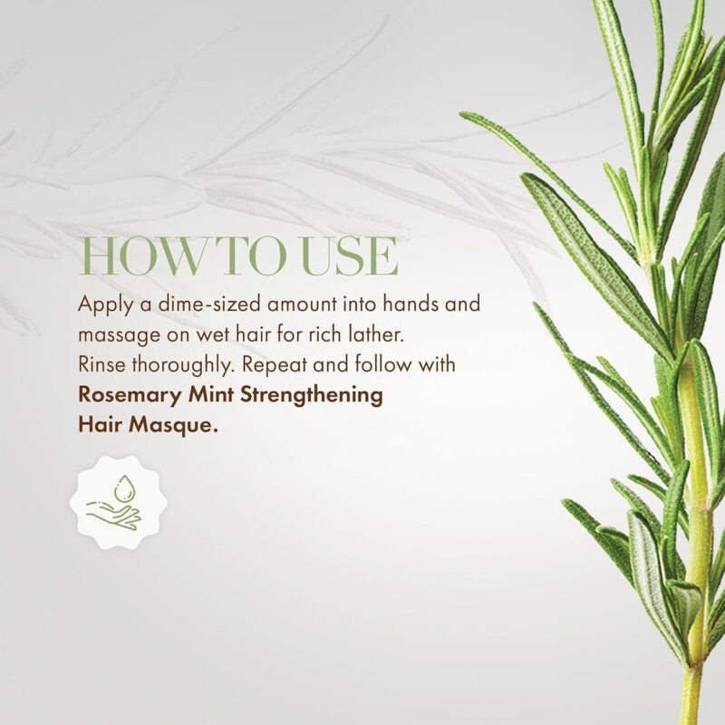 mielle-rosemary-mint-strengthening-shampoo5 Mielle Rosemary Mint Strengthening Shampoo - 355ml - Image 3