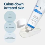 Round Lab Birch Juice Moisturizing Sunscreen SPF 50+ PA+++ 50ml - Image 2