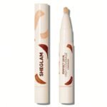Sheglam Perfect Skin High Coverage Concealer 4.5g - Fair